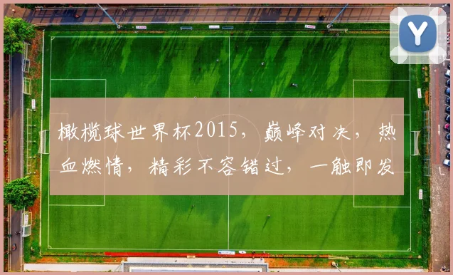 橄榄球世界杯2015，巅峰对决，热血燃情，精彩不容错过，一触即发