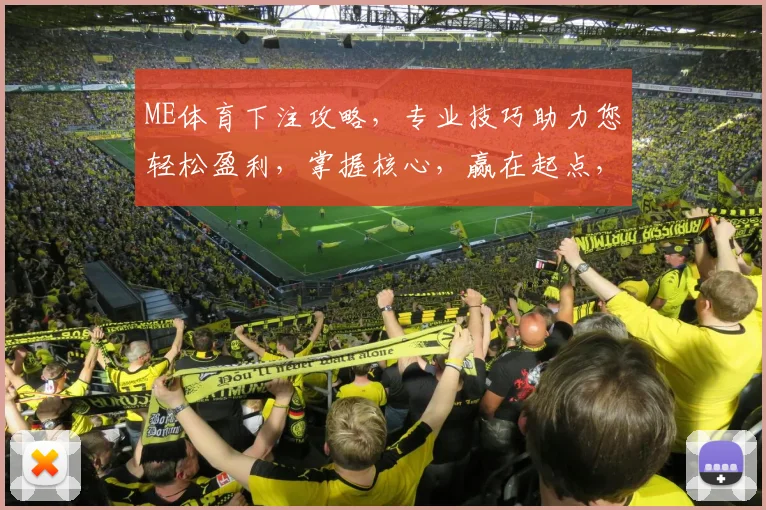 ME体育下注攻略，专业技巧助力您轻松盈利，掌握核心，赢在起点，必看