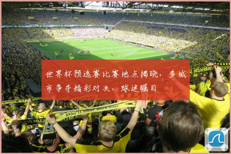世界杯预选赛比赛地点揭晓，多城市争夺精彩对决，球迷瞩目