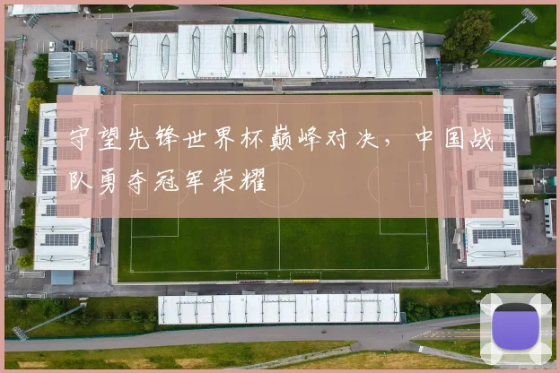 守望先锋世界杯巅峰对决，中国战队勇夺冠军荣耀
