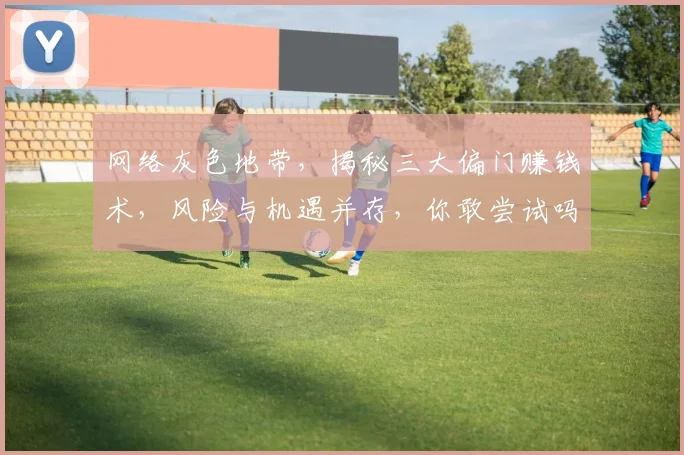 网络灰色地带，揭秘三大偏门赚钱术，风险与机遇并存，你敢尝试吗